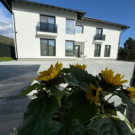 Oda ve Kahvaltı Diamond Lux&spa Sovata